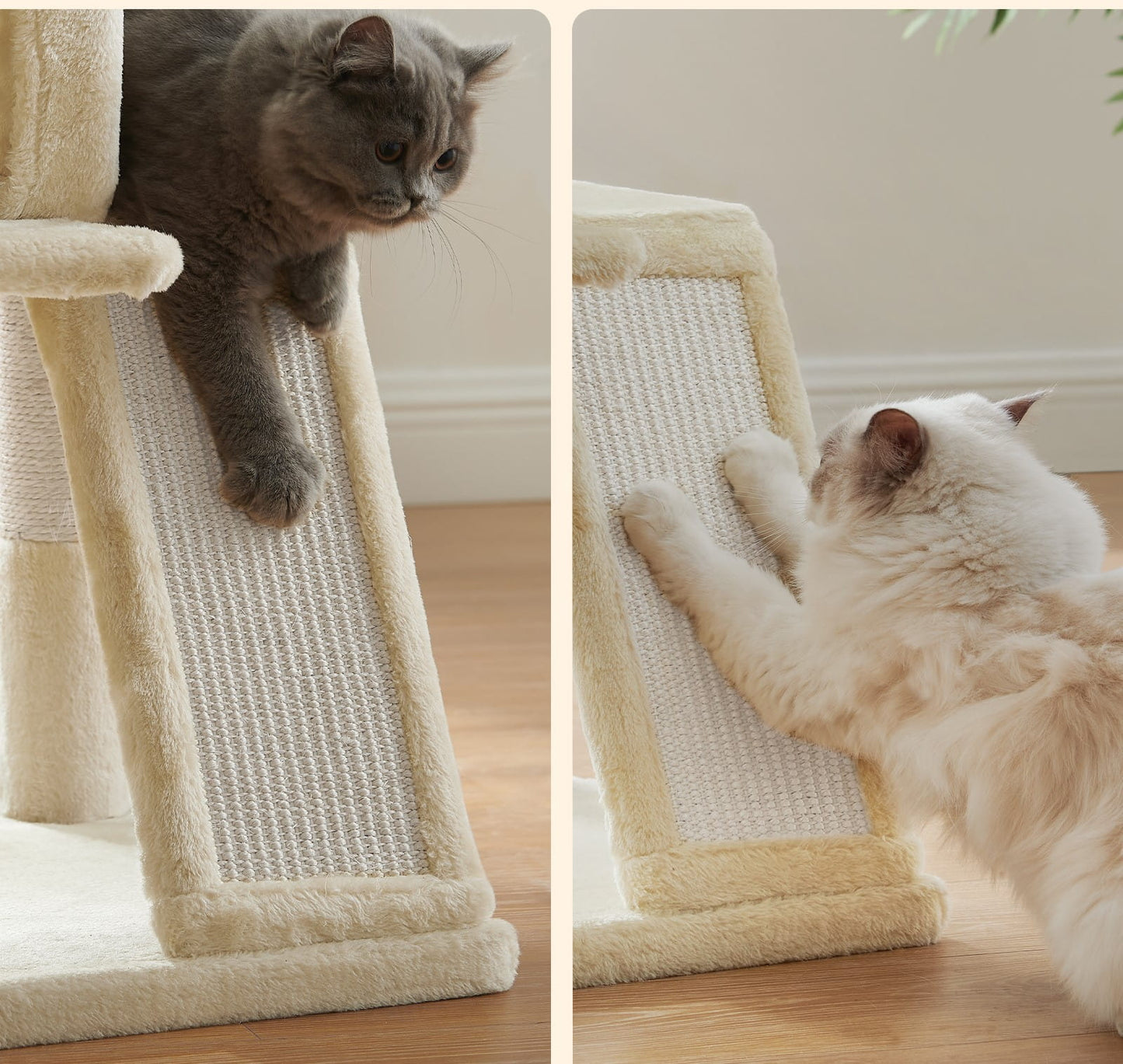 56c4d91f48125f9fa3882d7021e7ddb8