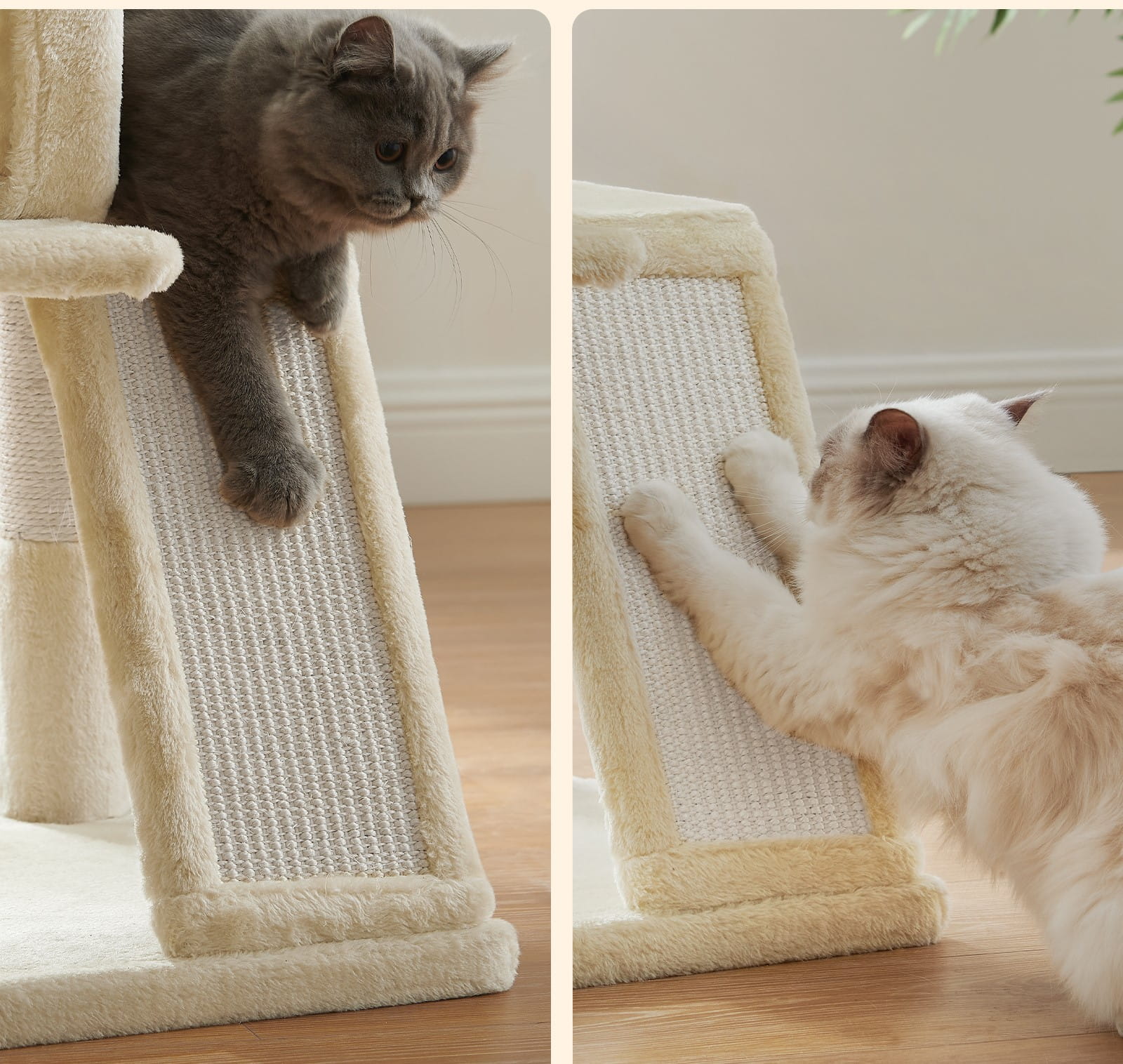 56c4d91f48125f9fa3882d7021e7ddb8