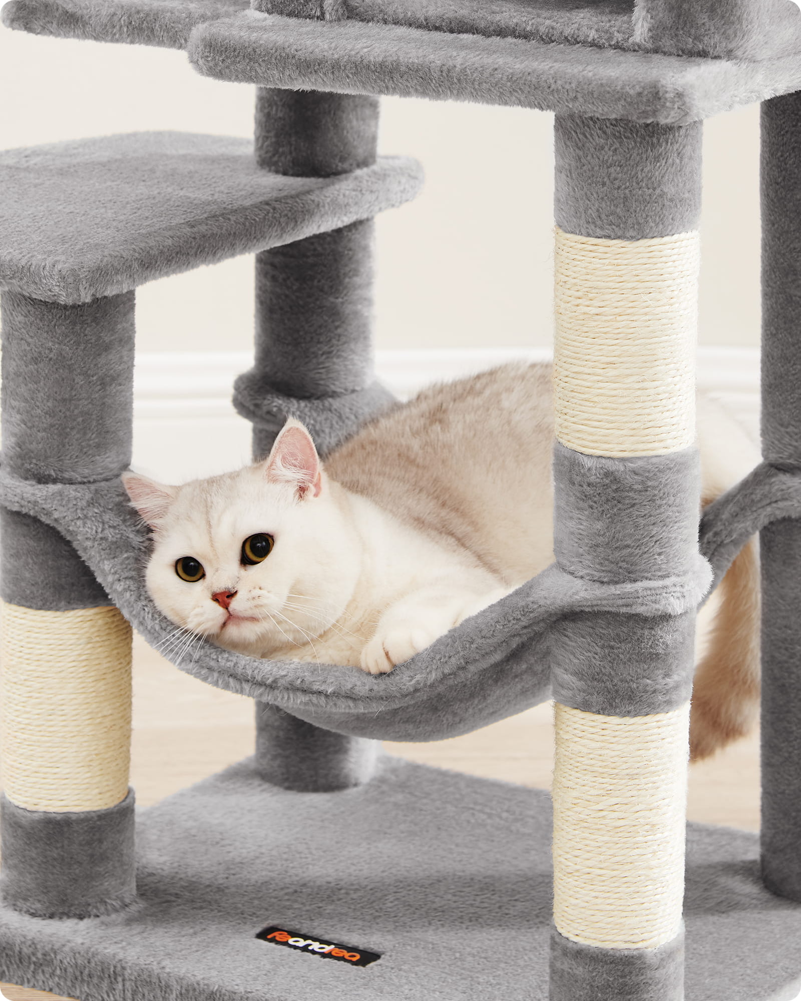 50adf7f0bd034b15a3d0d59dea02c7b8