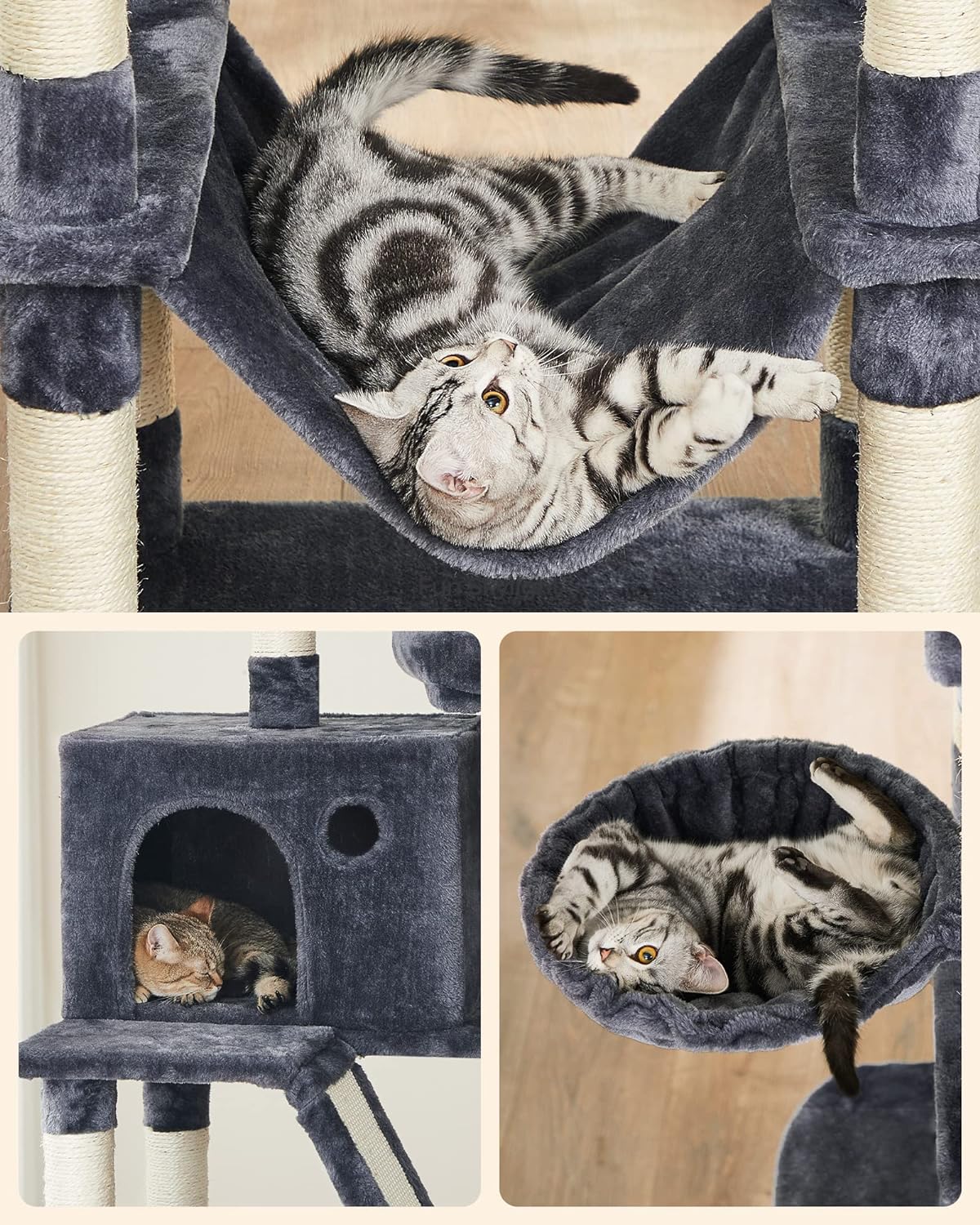 362e746e479fbb4d10493c6a16e557ee