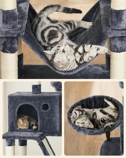 362e746e479fbb4d10493c6a16e557ee