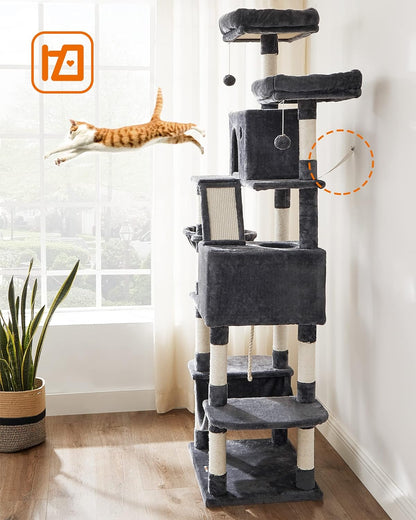 529db69e75aefac4176c346ef1a246de