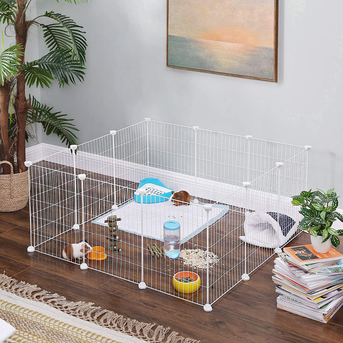 cea00e124929f3574b4538ba9505ddc8