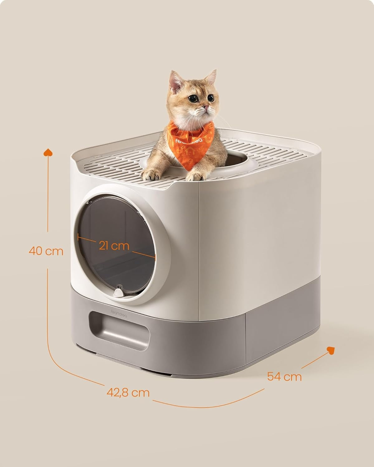 5446881fcb20c3ba63930c03d24d0c50