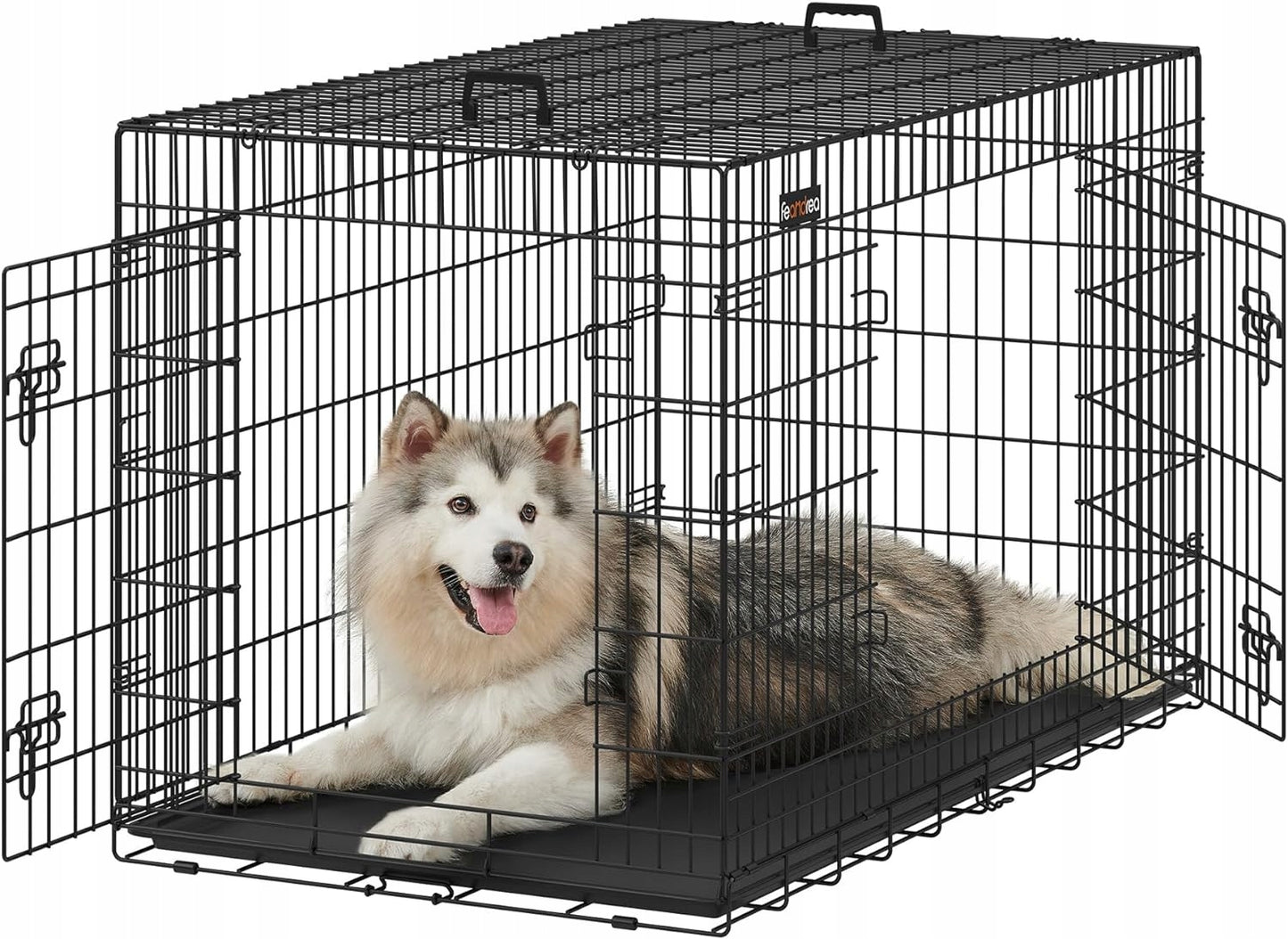 1897f9995b1543e76609788e4c70588d